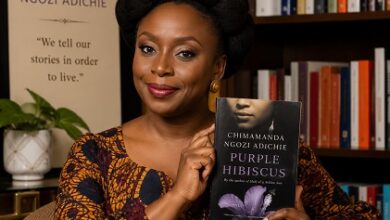 Summary Of Chimamanda Adichie’s Purple Hibiscus